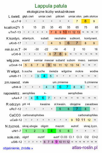 ekologiczne liczby wskaźnikowe Lappula patula (lepnik otwarty)