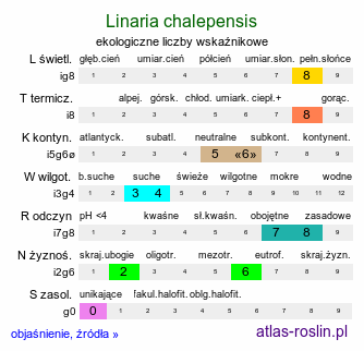 ekologiczne liczby wskaźnikowe Linaria chalepensis (linaria alepska)