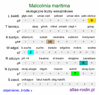 ekologiczne liczby wskaźnikowe Malcolmia maritima (malkolmia nadmorska)