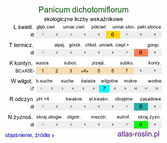 ekologiczne liczby wskaźnikowe Panicum dichotomiflorum (proso jesienne)