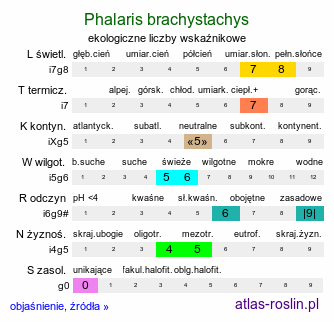 ekologiczne liczby wskaźnikowe Phalaris brachystachys (mozga krótkokłosa)