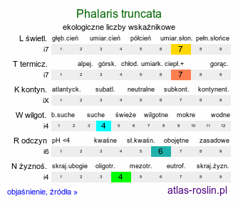 ekologiczne liczby wskaźnikowe Phalaris truncata (mozga ucięta)