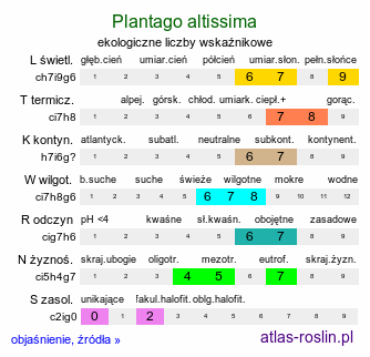 ekologiczne liczby wskaźnikowe Plantago altissima (babka wyniosła)