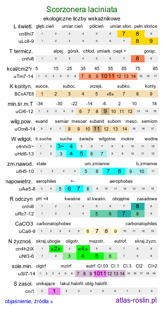 ekologiczne liczby wskaźnikowe Scorzonera laciniata (trzonczak pierzasty)