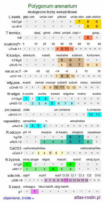 ekologiczne liczby wskaźnikowe Polygonum arenarium (rdest piaskowy)