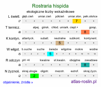 ekologiczne liczby wskaźnikowe Rostraria hispida (rostraria szorstka)