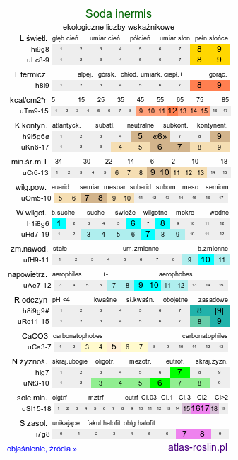 ekologiczne liczby wskaźnikowe Soda inermis (solanka sodowa)