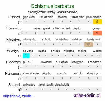 ekologiczne liczby wskaźnikowe Schismus barbatus (kostrzewiec brodaty)