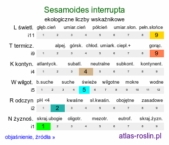 ekologiczne liczby wskaźnikowe Sesamoides interrupta (rezedowiec siwiejący)