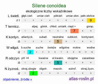 ekologiczne liczby wskaźnikowe Silene conoidea (lepnica stożkowata)