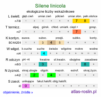 ekologiczne liczby wskaźnikowe Silene linicola (lepnica lnowa)