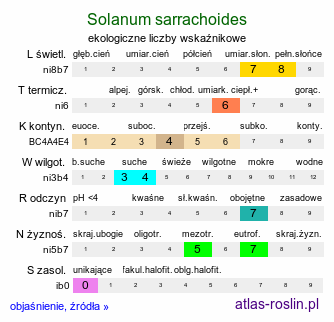 ekologiczne liczby wskaźnikowe Solanum sarrachoides (psianka wielkokielichowa)