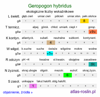 ekologiczne liczby wskaźnikowe Geropogon hybridus (kozibród pośredni)