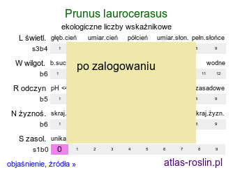 ekologiczne liczby wskaźnikowe Prunus laurocerasus (laurowiśnia wschodnia)