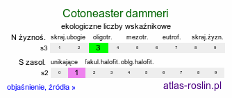 ekologiczne liczby wskaźnikowe Cotoneaster dammeri (irga Dammera)
