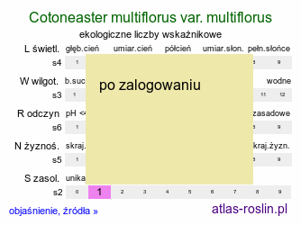 ekologiczne liczby wskaÅºnikowe Cotoneaster multiflorus var. multiflorus (irga wielokwiatowa)