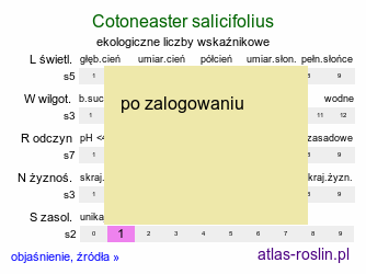 ekologiczne liczby wskaźnikowe Cotoneaster salicifolius (irga wierzbolistna)