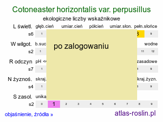 ekologiczne liczby wskaźnikowe Cotoneaster horizontalis var. perpusillus (irga karłowata)