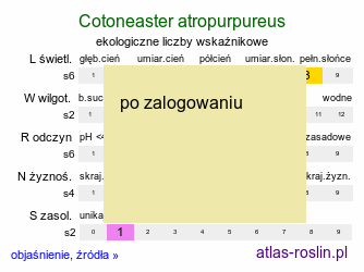 ekologiczne liczby wskaźnikowe Cotoneaster atropurpureus (irga purpurowa)