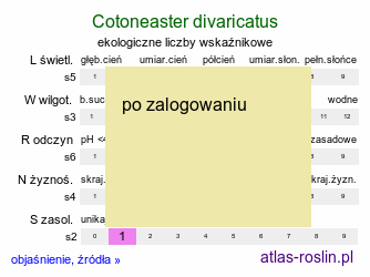 ekologiczne liczby wskaźnikowe Cotoneaster divaricatus (irga rozkrzewiona)