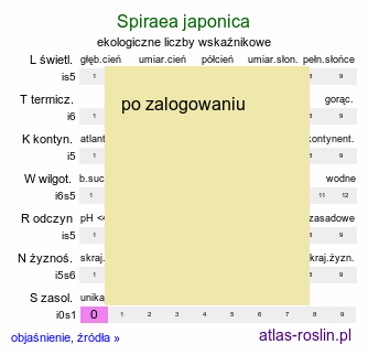 ekologiczne liczby wskaźnikowe Spiraea japonica (tawuła japońska)