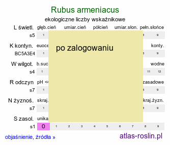 ekologiczne liczby wskaźnikowe Rubus armeniacus (jeżyna kaukaska)
