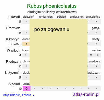 ekologiczne liczby wskaźnikowe Rubus phoenicolasius (jeżyna rdzawa)
