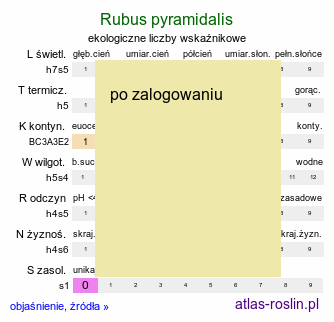 ekologiczne liczby wskaźnikowe Rubus pyramidalis (jeżyna piramidalna)