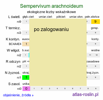 ekologiczne liczby wskaźnikowe Sempervivum arachnoideum (rojnik pajęczynowaty)
