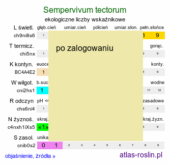 ekologiczne liczby wskaźnikowe Sempervivum tectorum (rojnik murowy)