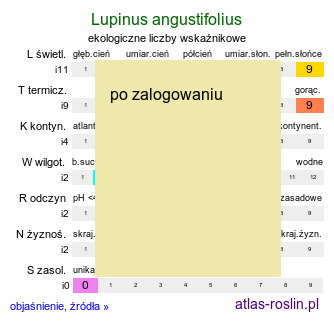 ekologiczne liczby wskaźnikowe Lupinus angustifolius (łubin wąskolistny)