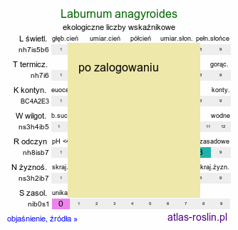 ekologiczne liczby wskaźnikowe Laburnum anagyroides (złotokap pospolity)
