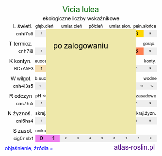 ekologiczne liczby wskaÅºnikowe Vicia lutea (wyka Å¼Ã³Å‚ta)