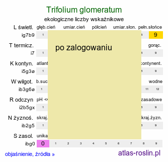 ekologiczne liczby wskaźnikowe Trifolium glomeratum (koniczyna skupiona)