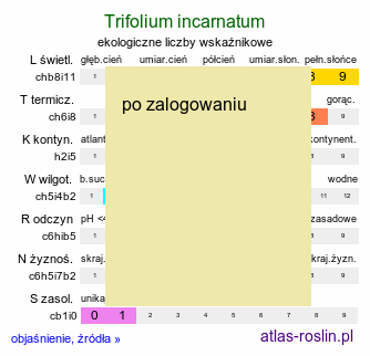 ekologiczne liczby wskaźnikowe Trifolium incarnatum (koniczyna krwistoczerwona)