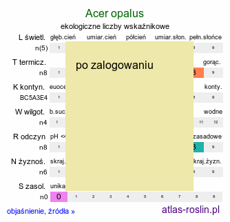 ekologiczne liczby wskaÅºnikowe Acer opalus (klon wÅ‚oski)