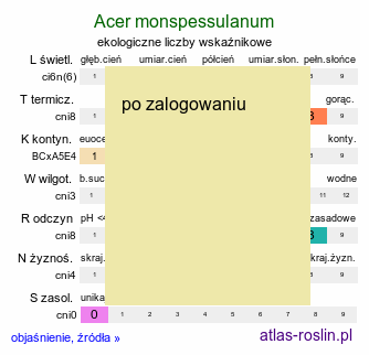 ekologiczne liczby wskaźnikowe Acer monspessulanum (klon francuski)