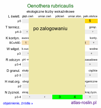 ekologiczne liczby wskaźnikowe Oenothera rubricaulis (wiesiołek czerwonołodygowy)