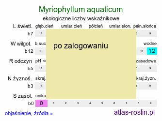 ekologiczne liczby wskaÅºnikowe Myriophyllum aquaticum (wywÅ‚Ã³cznik brazylijski)