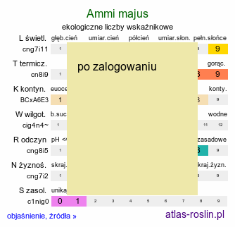 ekologiczne liczby wskaźnikowe Ammi majus (aminek wielki)