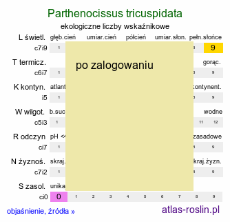 ekologiczne liczby wskaźnikowe Parthenocissus tricuspidata (winobluszcz trójklapowy)