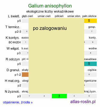 ekologiczne liczby wskaźnikowe Galium anisophyllon (przytulia nierównolistna)