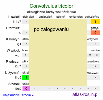 ekologiczne liczby wskaźnikowe Convolvulus tricolor (powój trójbarwny)