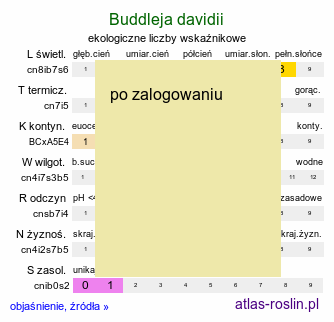 ekologiczne liczby wskaźnikowe Buddleja davidii (buddleja Davida)