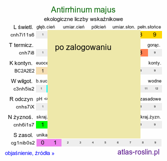 ekologiczne liczby wskaźnikowe Antirrhinum majus (wyżlin większy)