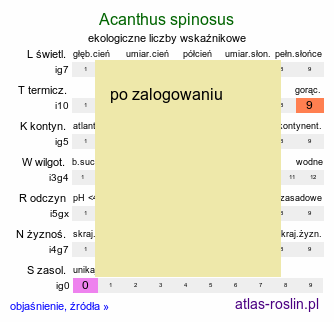 ekologiczne liczby wskaźnikowe Acanthus spinosus (akant kłujący)