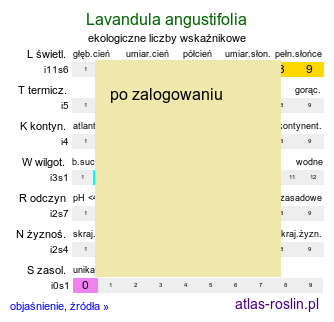 ekologiczne liczby wskaÅºnikowe Lavandula angustifolia (lawenda wÄ…skolistna)