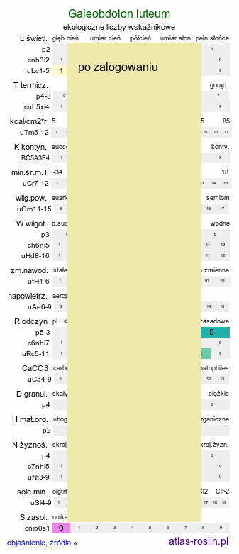ekologiczne liczby wskaźnikowe Galeobdolon luteum (gajowiec żółty)