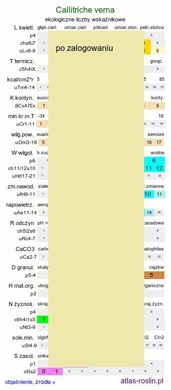 ekologiczne liczby wskaźnikowe Callitriche verna (rzęśl wiosenna)