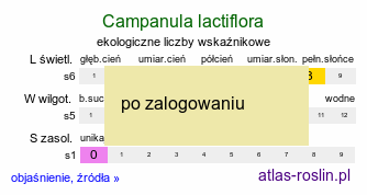 ekologiczne liczby wskaźnikowe Campanula lactiflora (dzwonek kremowy)